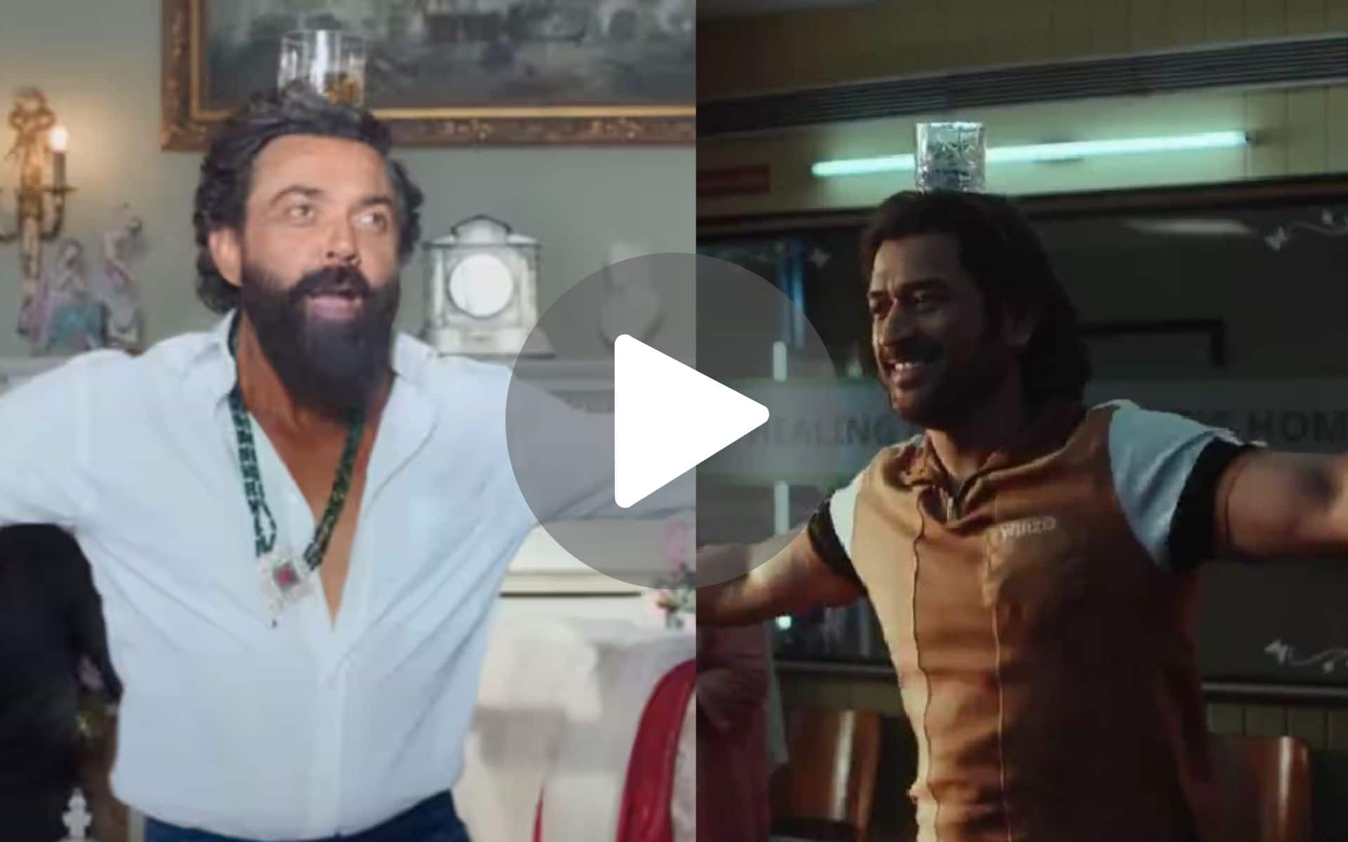 [Watch] MS Dhoni Dances On Bobby Deol's Entry Song From Animal Movie
